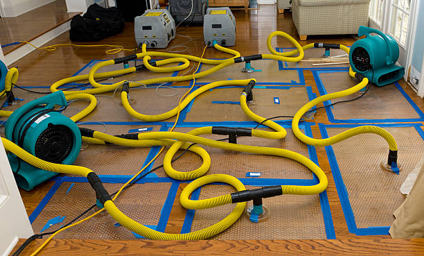 Professional Sewage Cleanup technician working in Dallas Center, IA